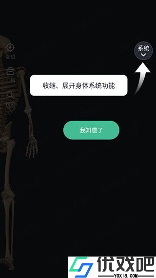 口袋人体解剖