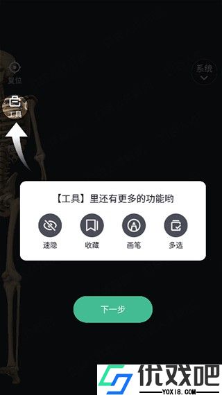 口袋人体解剖