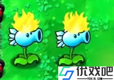 废物大战僵尸