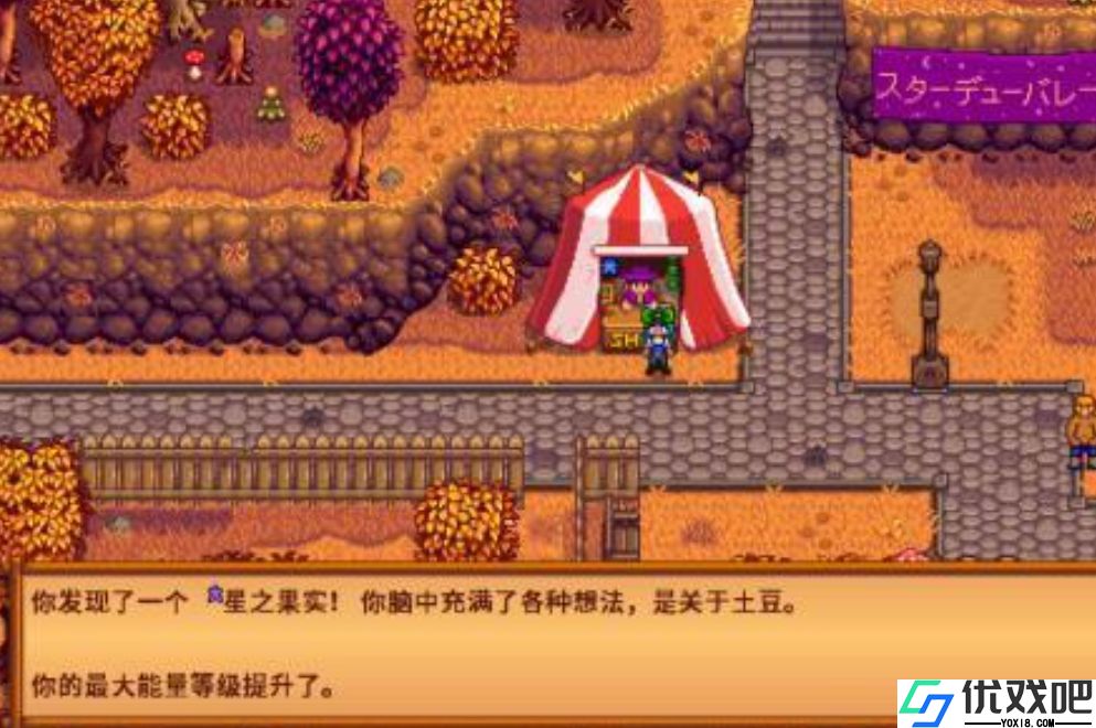 星露谷物语星之果实在哪里拿