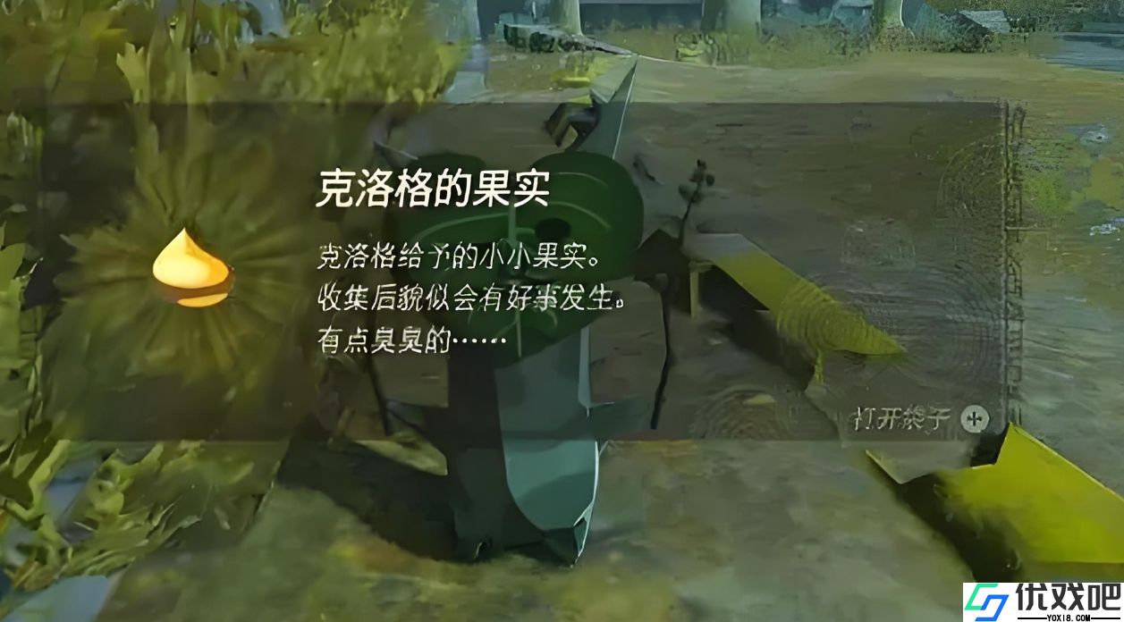 王国之泪克洛洛果实有哪些解法