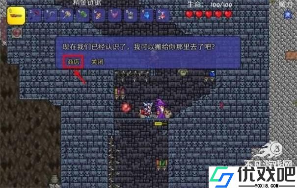 泰拉瑞亚灾厄