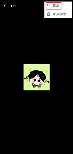 照片保险箱