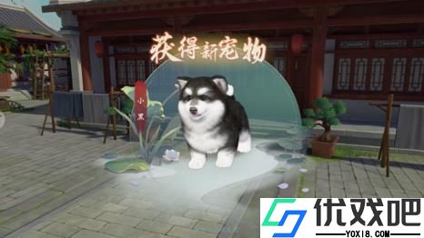 浮生忆玲珑
