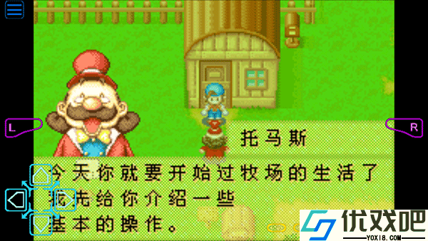 牧场物语矿石镇的伙伴们安卓版