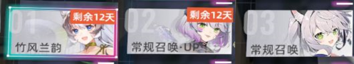 猫之城
