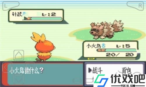 精灵宝可梦绿宝石随机版