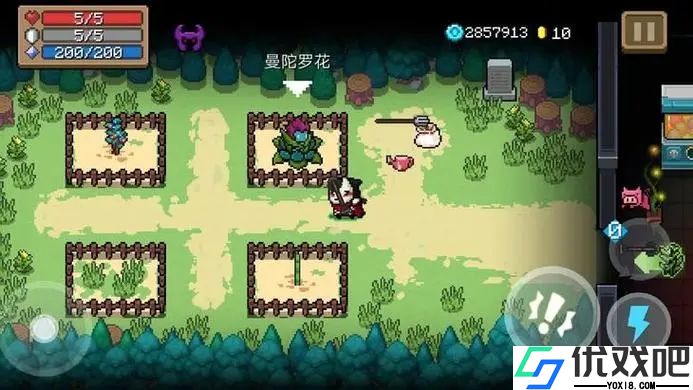 元气骑士花圃种什么