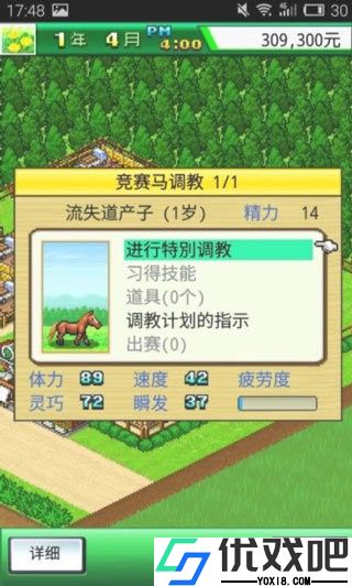 顶级跑马牧场中文版