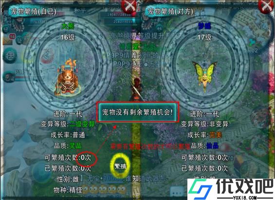 忘仙千载蝴蝶怎么抓