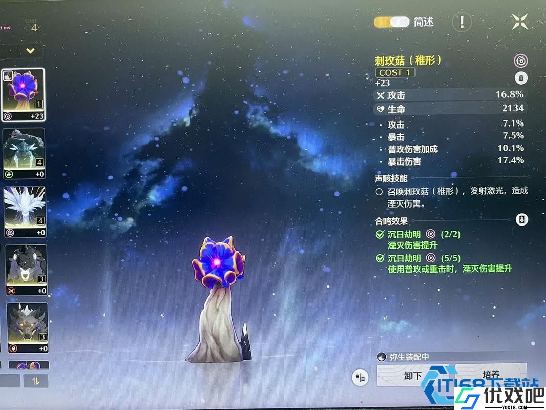 理解防御属性的独特魅力与角色适应性
