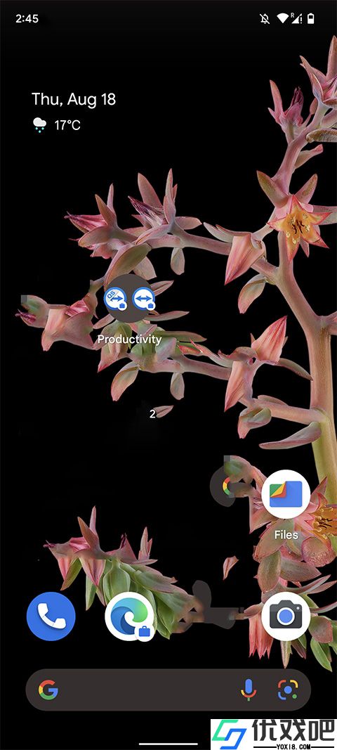 Teamviewer