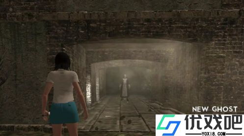 白夫人中文版