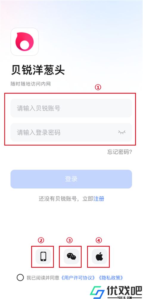 贝锐洋葱头
