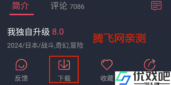 樱花追番