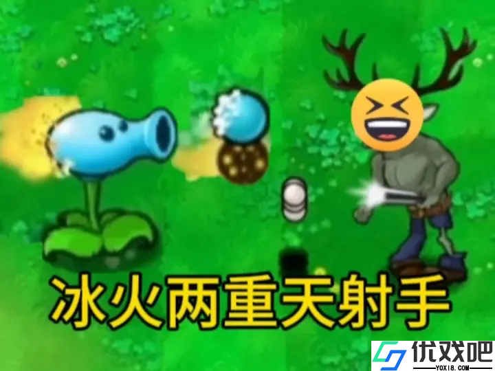 植物大战僵尸逆天版