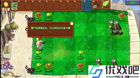 植物大战僵尸新指导版