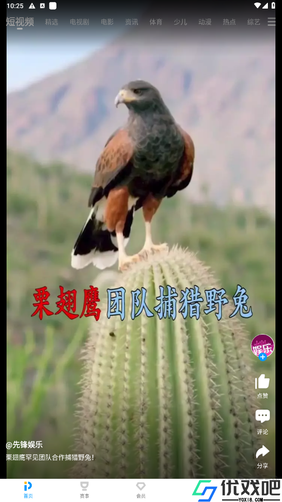 pp视频免费版