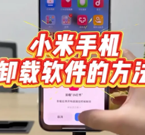 小米手机浏览器怎么卸载 小米手机浏览器卸载方法【方法】