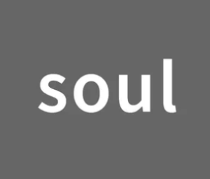 soul聊骚暗语是什么 soul聊骚暗语大全【方法】
