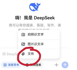 deepseek上传附件很慢怎么办 手机deepseek怎么上传文件【相关介绍】