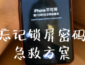 苹果手机密码忘了怎么办 苹果手机密码忘了解决方法【方法】