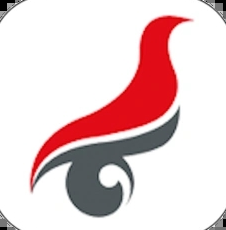 学信网查重入口在哪里 学信网查重和知网查重区别大吗【技巧提升】