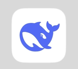 deepseek网页版入口 deepseek网页版怎么退出登录【详细指南】