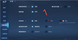 王者荣耀怎么设置隐私状态 王者荣耀怎么设置战绩别人看不见 王者荣耀怎么设置隐私状态 王者荣耀怎么设置战绩别人看不见
