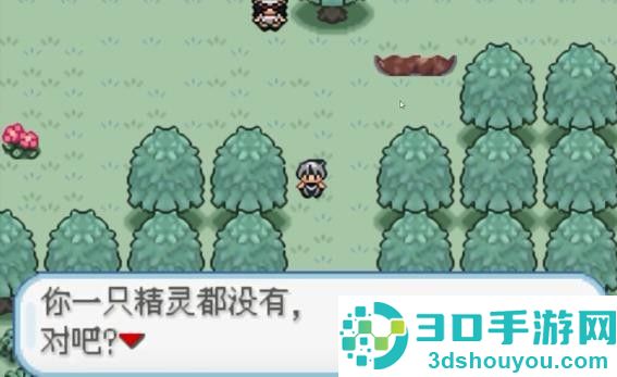 口袋妖怪火箭队汉化版