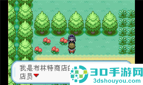 口袋妖怪火红全随机版最新版(究极绿宝石5.2)