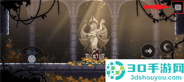 地牢杀手内置作弊菜单(dungeonslasher)