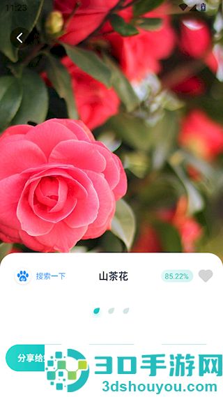花卉识别软件