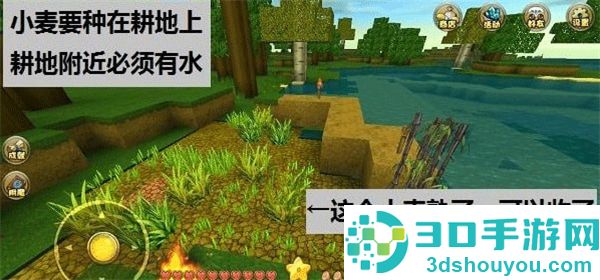 九游版迷你世界