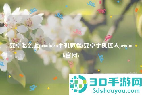 安卓手机如何进入proumb网站