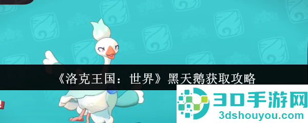 洛克王国黑天鹅速刷指南