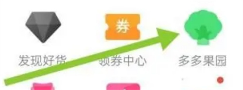 拼多多开通种菜的方法步骤