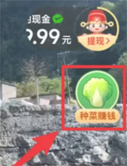 多多果园种菜赚钱提现到微信的详细方法