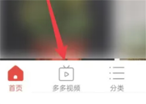 拼多多种白菜的详细步骤指南 - 如何在拼多多上种植白菜