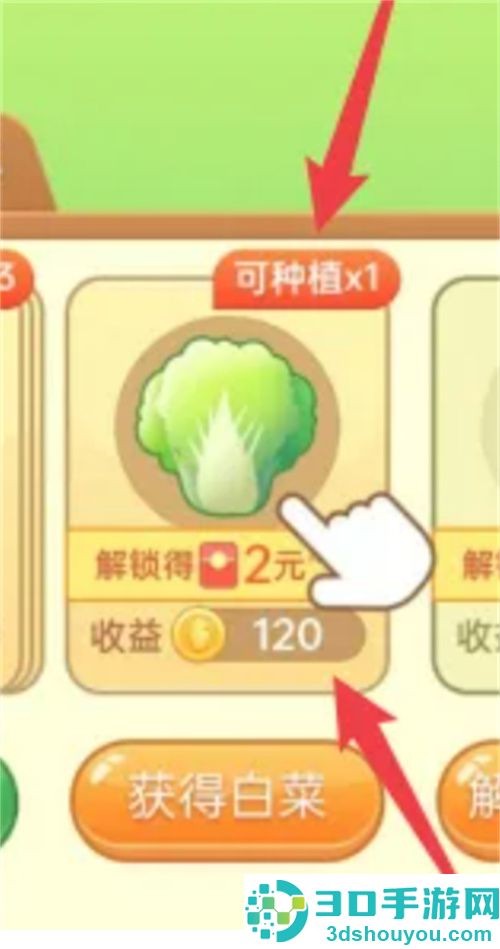 拼多多种白菜的方法步骤