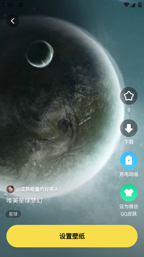 兔兔壁纸手机壁纸