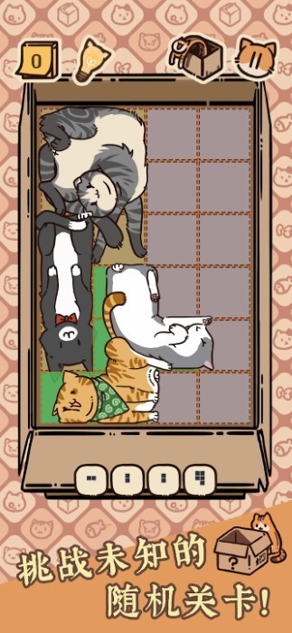 盒子猫下载最新版