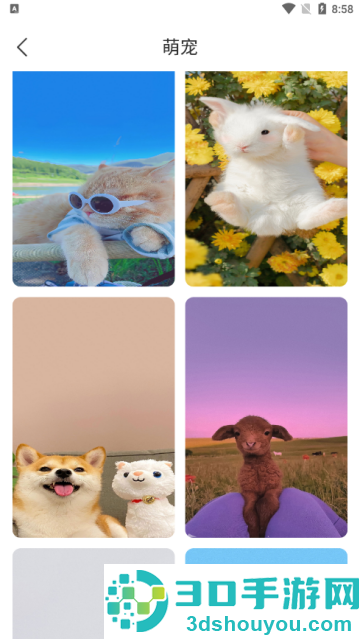 花令壁纸app