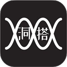 洞搭官方版