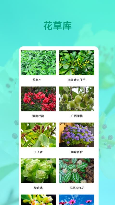 识花app免费版下载