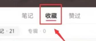小红书如何查看我的收藏:详细步骤指南