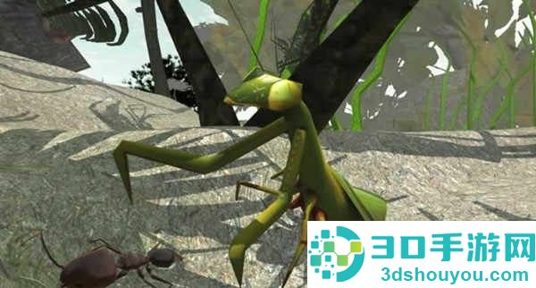 3d蚂蚁模拟下载最新