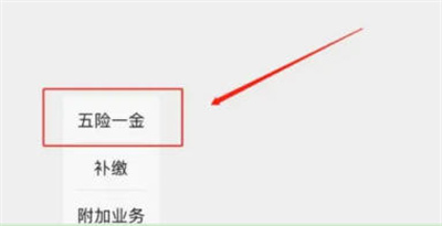 蚂蚁社保交社保的详细步骤指南-如何在蚂蚁社保平台交社保
