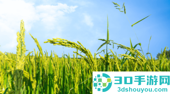 智慧办公中储粮app