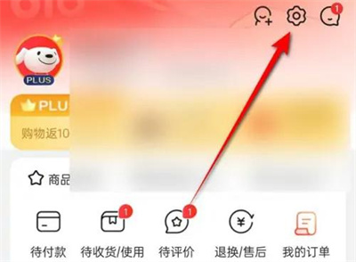 京东名下账号查询步骤详解 - 如何在京东查询账户信息
